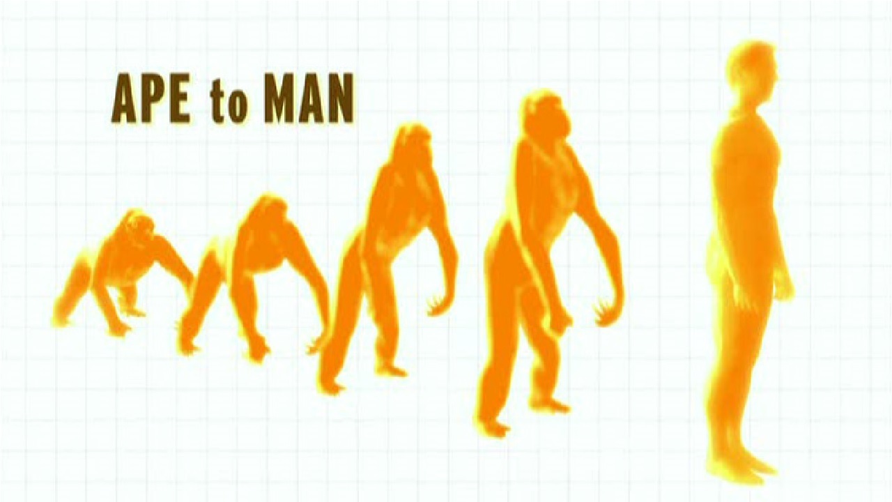 Ape to Man