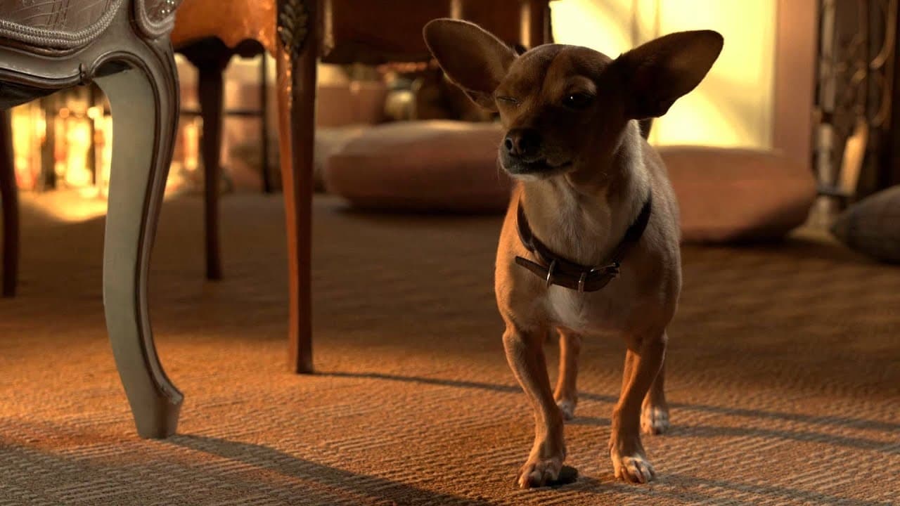 beverly hills chihuahua toy