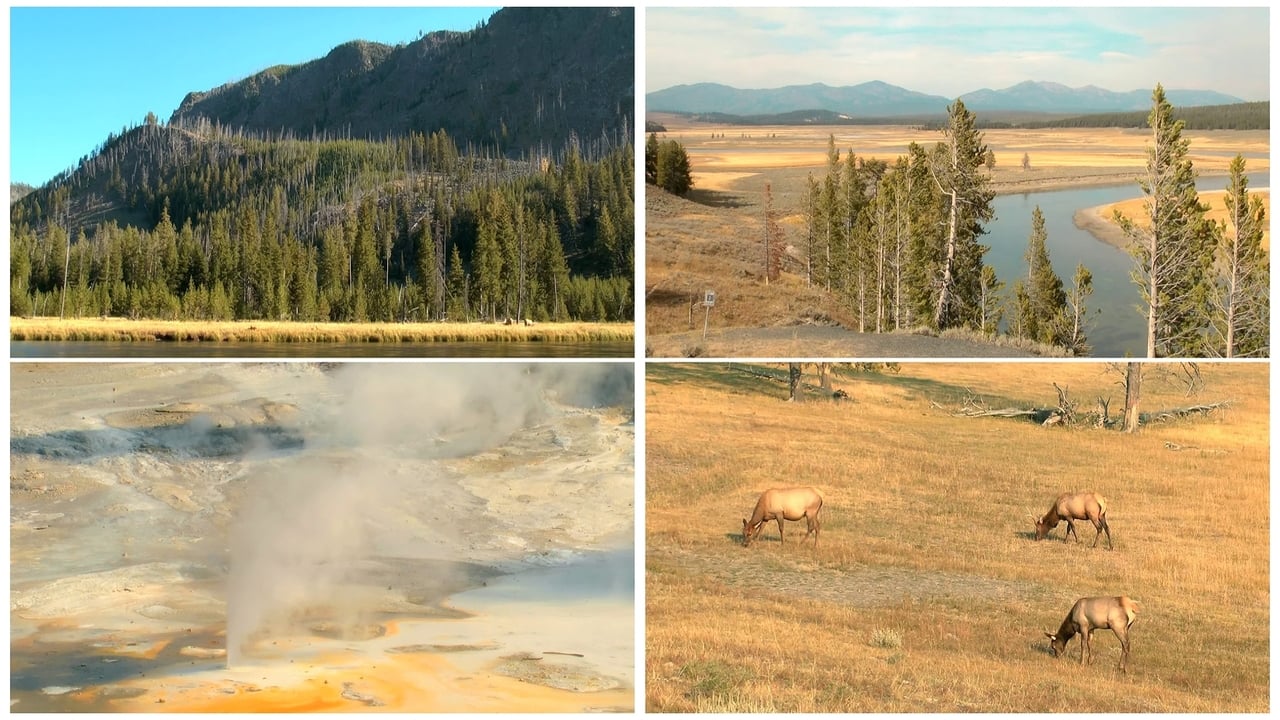 World Natural Heritage USA: Yellowstone National Park