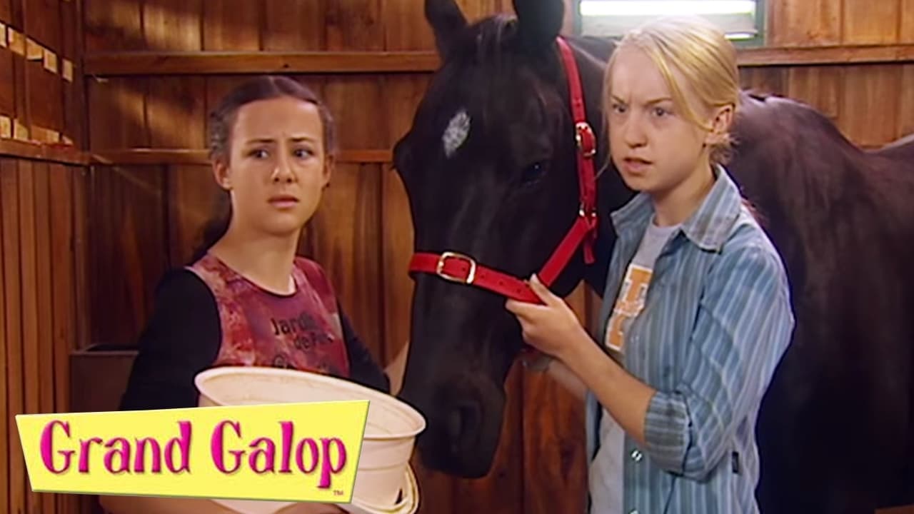 Watch The Saddle Club(2001) Online Free, The Saddle Club All Seasons Yesflicks