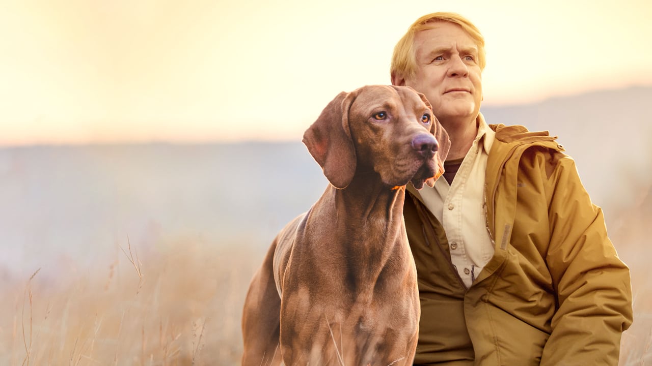 It's a Dog's Life with Bill Farmer