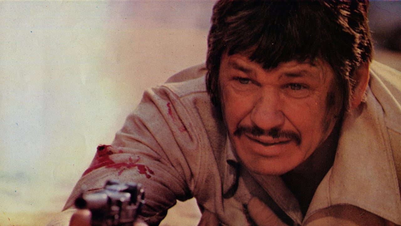 City Of Violence Full Movie