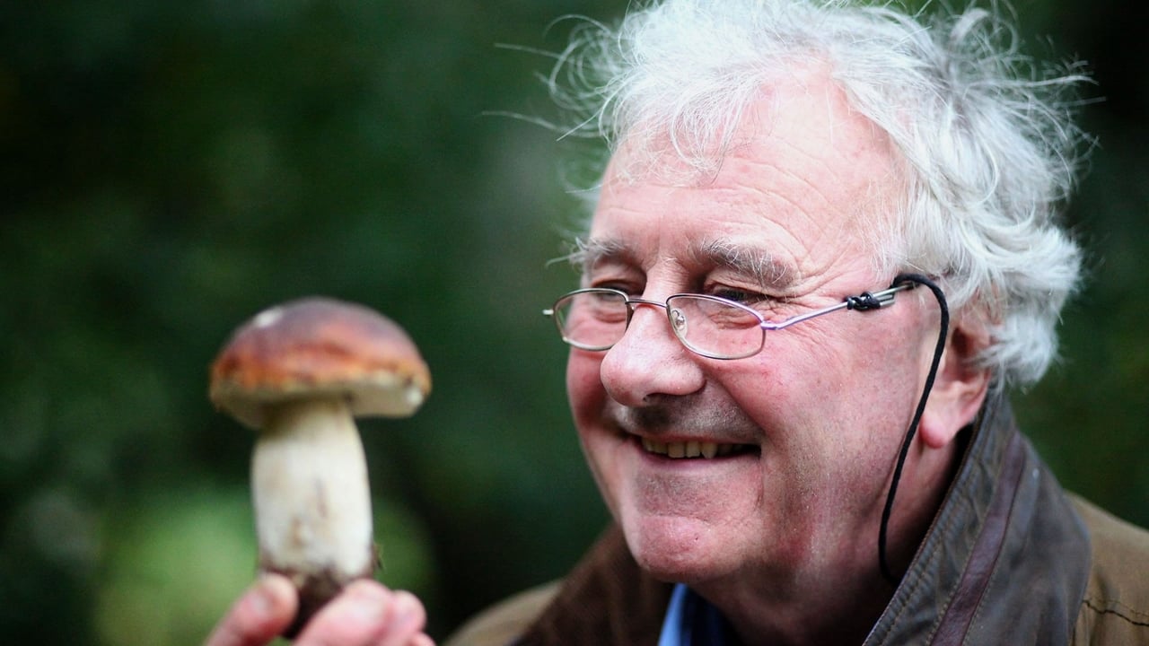 alfred hitchcock presents mushrooms