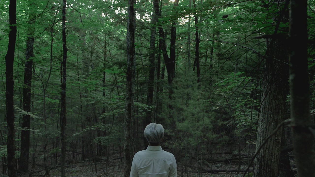 Online Ryuichi Sakamoto: Coda Movies | Free Ryuichi ...