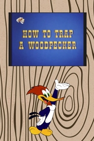 Watch How to Trap a Woodpecker