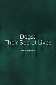 Watch Dogs: Their Secret Lives