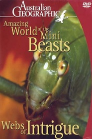 Watch Amazing World of the Mini Beasts