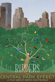 Watch Birders: The Central Park Effect