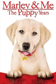 Watch Marley & Me: The Puppy Years