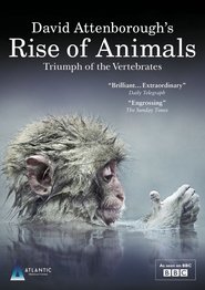 Watch David Attenborough's Rise of Animals: Triumph of the Vertebrates