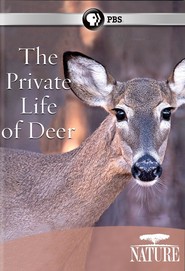 Watch The Private Life of Deer