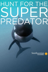 Watch The Search for the Ocean's Super Predator