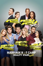 Watch Marriage Boot Camp: Reality Stars