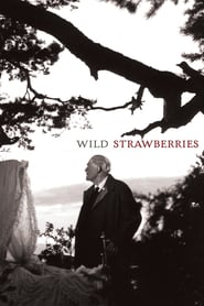 Watch Wild Strawberries