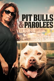 Watch Pit Bulls and Parolees