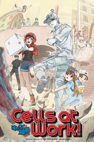 Watch Cells at Work!
