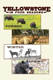 Watch Yellowstone in Four Seasons