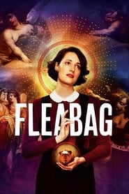 Watch Fleabag