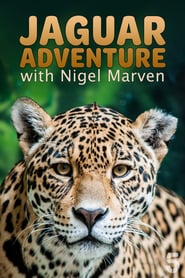 Watch Jaguar Adventure With Nigel Marven
