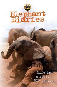 Watch Elephant Diaries