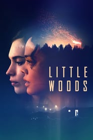 Watch Little Woods