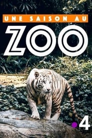 Watch Une saison au zoo