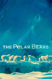 Watch The Polar Bears