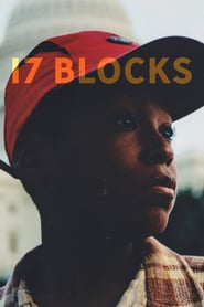 Watch 17 Blocks