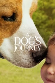Watch A Dog's Journey