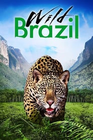 Watch Wild Brazil