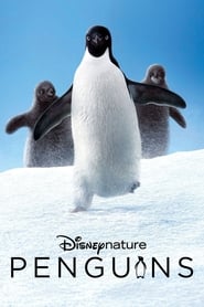 Watch Penguins