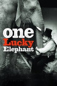 Watch One Lucky Elephant