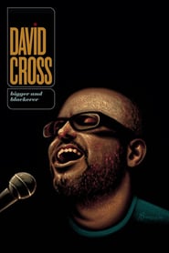 Watch David Cross: Bigger and Blackerer