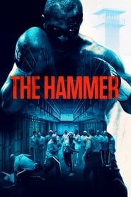 Watch The Hammer
