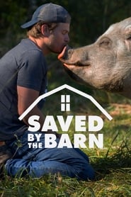 Watch Saved By The Barn