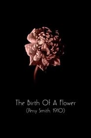 Watch The Birth of a Flower