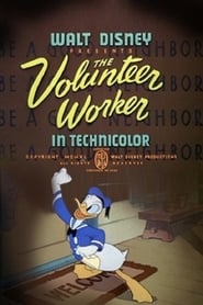 Watch The Volunteer Worker