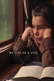 Watch My Life as a Dog
