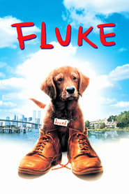 Watch Fluke