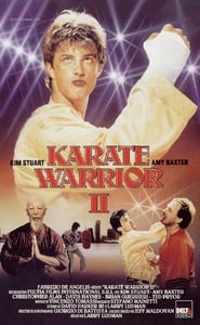 Watch Karate Warrior 2