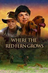 Watch Where the Red Fern Grows