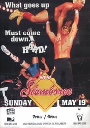 Watch WCW Slamboree 1996