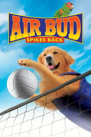 Watch Air Bud: Spikes Back
