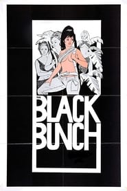Watch The Black Bunch