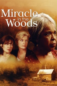 Watch Miracle in the Woods