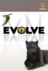 Watch Evolve