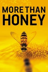 Watch More Than Honey