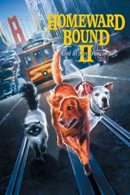 Watch Homeward Bound II: Lost in San Francisco