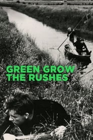 Watch Green Grow the Rushes
