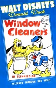 Watch Window Cleaners